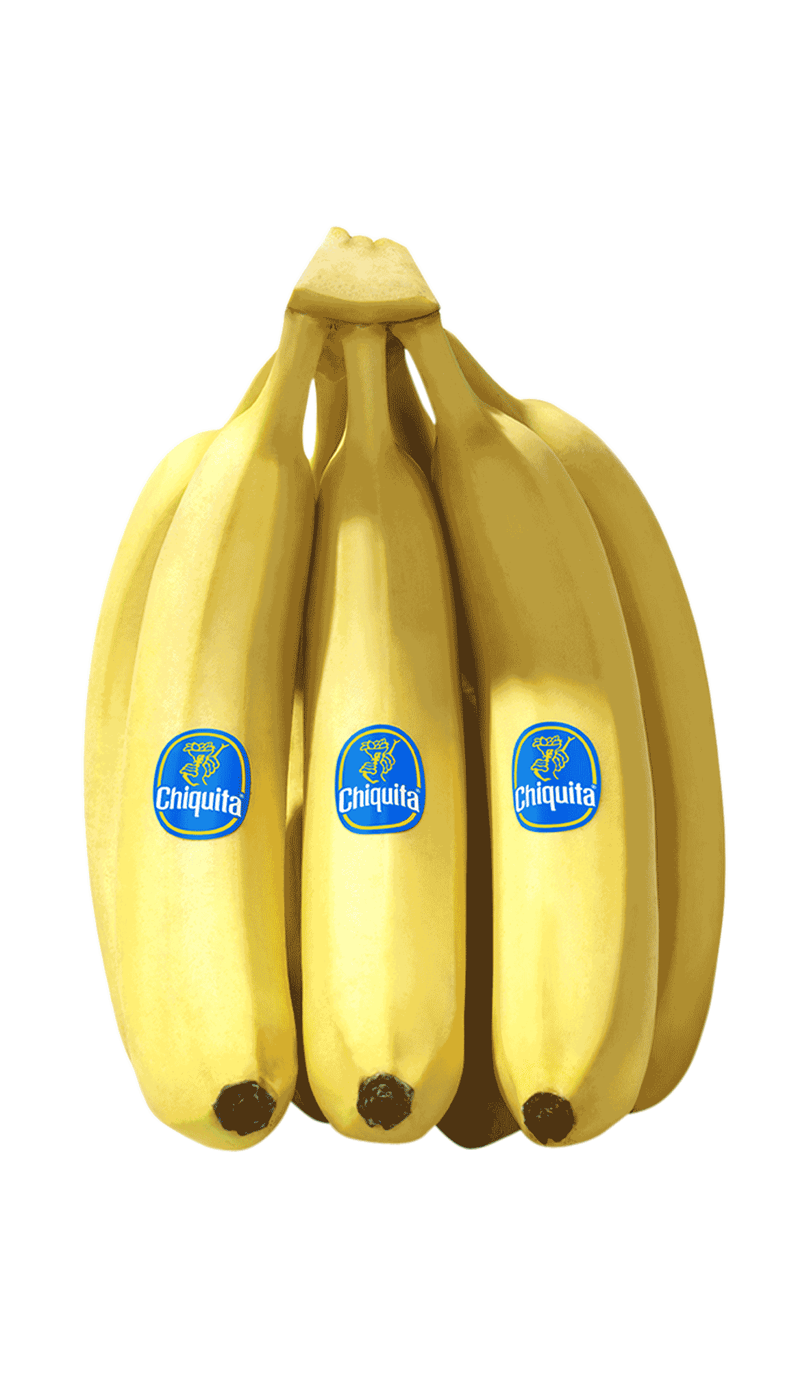 Chiquita organic bananas, Product catalog